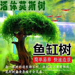 莫斯树成品树懒树形人入水草摆件成景懒人沉木底沙大鱼缸造景其他