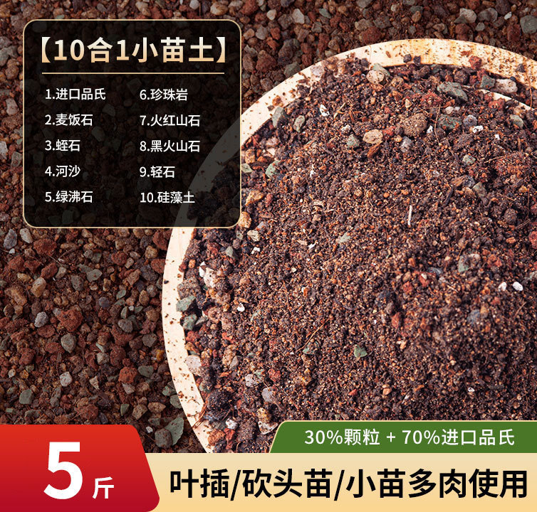 다육식물 묘목 2.5kg (30% 입자)