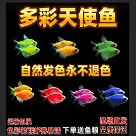 过家家玩具;积木类;机器人模型