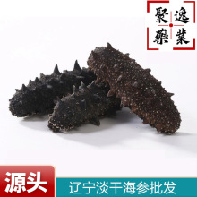 ������؛ɢ؛ �����|������ɴ��B���˺������o�}ȫҎ�񵭸ɺ���