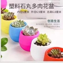 ����ֲ��û���ʺ�ʯ�軨�脓��A�������Ԅ���ˮ��ˮ���˻���