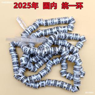 Pigeon Supplies and Equipment Foot Ring Mark Ring 2025 Unified Ring Outer Ring Pigeon Supplies Pigeon Ring