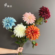 �ʹڴ��������滨���ۆ�֧ �Ҿӻ�c�b��߻�Y���üٻ��ɻ�