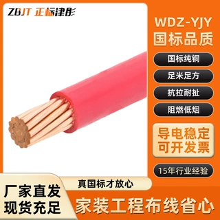 WDZ-YJY铜芯电缆跨境低烟无卤阻燃交联聚乙烯绝缘聚烯烃WDZ-YJY线