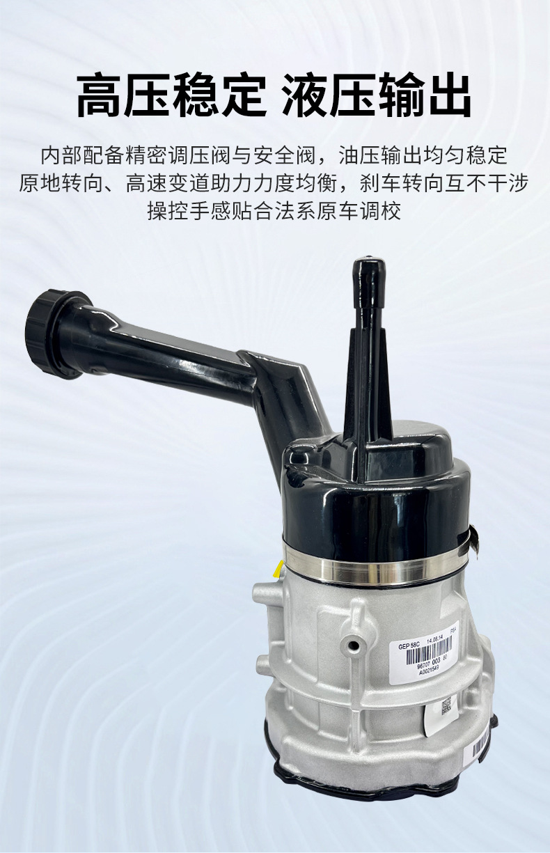 308/Applicable to Peugeot Power Steering Pump, Citroen Car Power Steering Pump, Hydraulic Power Steering Pump Parts, Cross-Border Electric