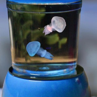 ˮĸ����l�����Сˮĸ�^�p������һ��ͯС�W��С�����Bˮ�匙��