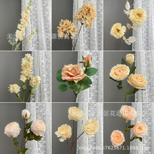 �¿��㙉ɫϵ�з��滨õ�彑���c��Y���Ų廨�bƵꙻ���쾰