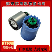 ����ֱ��220v11��ת13��ת���ٴ����������Ҷ�������ˢ���