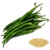 Chaotian pepper seeds seedlings millet spicy seed cluster pepper refers to the seed planting vegetable species of the small red pepper balcony
