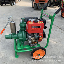 高扬程抽水泵 手推移动款喷灌泵  风冷柴油机带动3寸高压流量泵