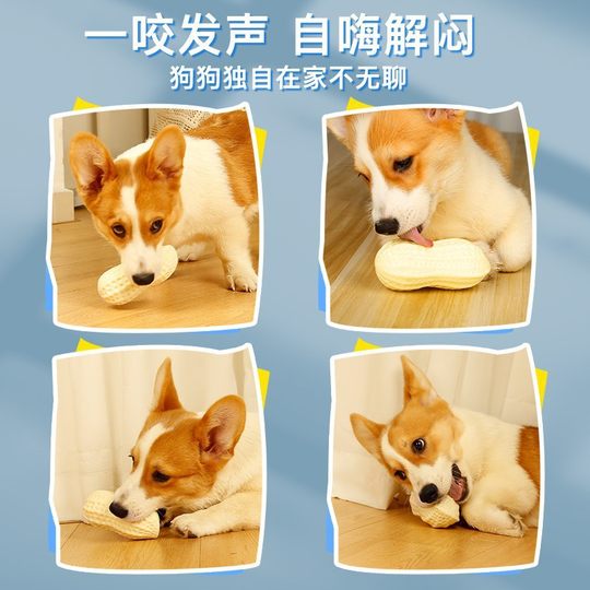 Dog Toy Ball Bite-resistant Molar Vocalization Peanut Large Dog Golden Retriever Puppy Corgi Fa Dou Cat Pet Supplies