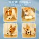 Dog Toy Ball Bite-resistant Molar Vocalization Peanut Large Dog Golden Retriever Puppy Corgi Fa Dou Cat Pet Supplies