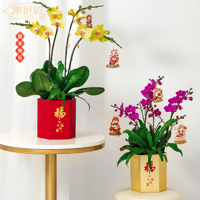 Linlang Fang xiaoliuliushun Año Nuevo Festival de Primavera celebración bendición cubo Año Nuevo Fortuna Holly cubo decorativo flores embalaje de regalo