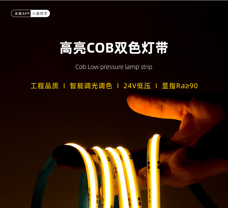 双色灯带详情 (3).jpg