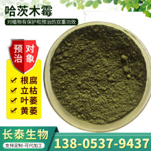 哈茨木霉 农用微生物菌剂农业种植土壤改良抗重茬菌剂原粉 水溶性