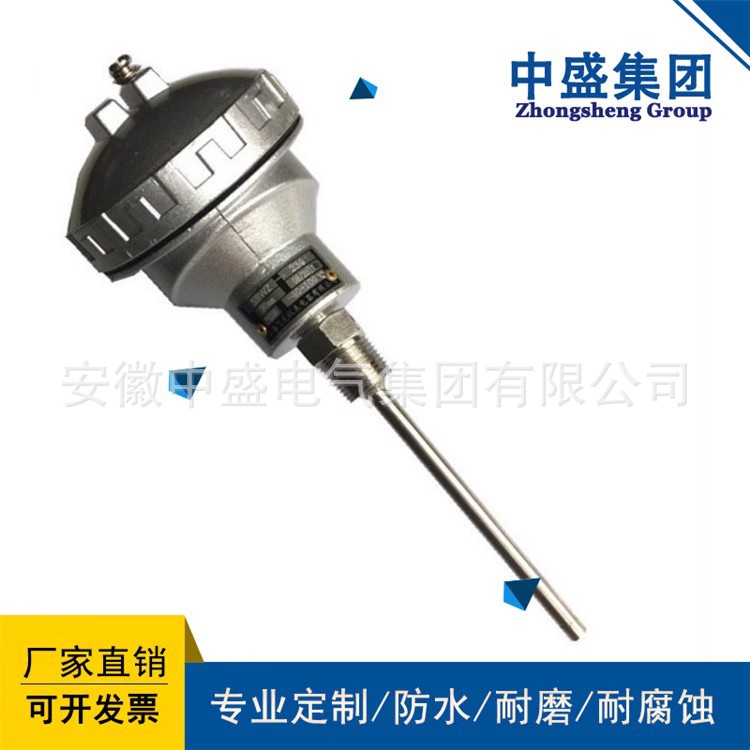 WRNK-246固铠装隔爆热电偶