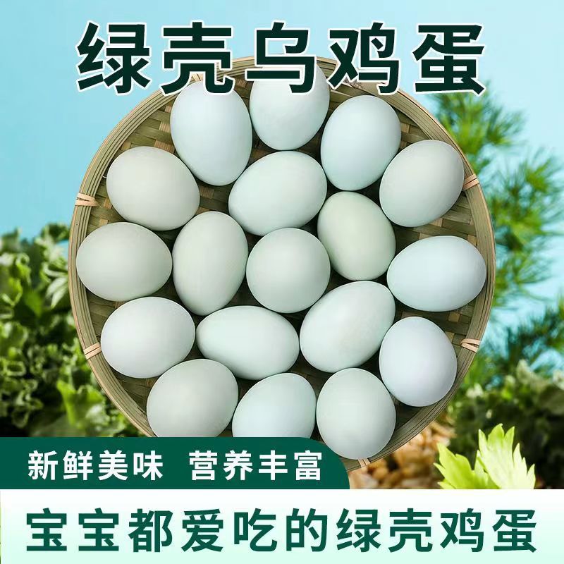 九华山山林散养农家乌鸡蛋绿壳土鸡蛋新鲜健康富硒宝宝爱吃的