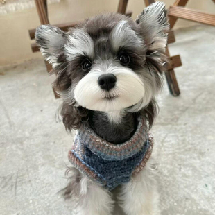 ���Nѩ�{��С�w�����������w�����y���}��Ȯ��ë���ﹷ��С��