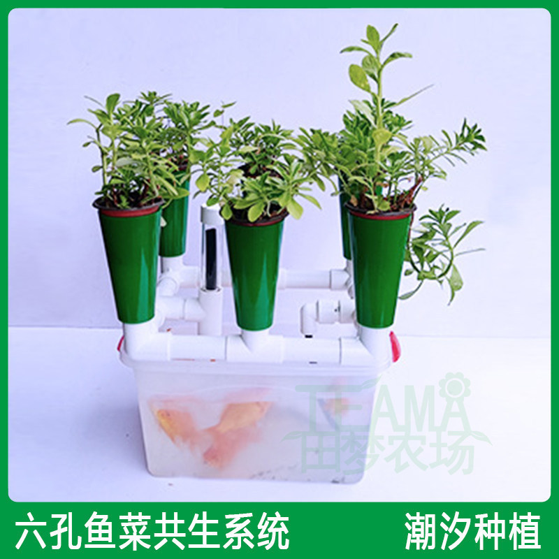 6-Hole Siphon Aquaponics Equipment, Tidal Planting System, Educational Aquaponics Equipment for Children, Promotion 6-Hole Siphon Aquaponics Equipment, Tidal Planting System, Educational Aquaponics Equipment for Children, Promotion