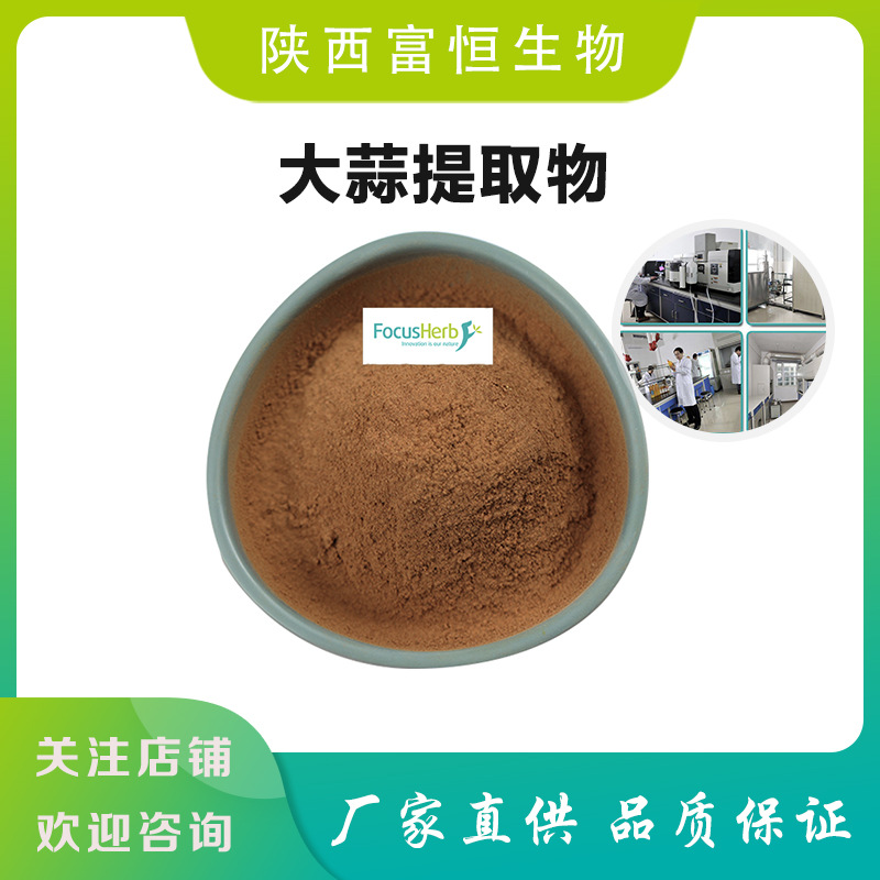 大蒜提取物 10:1 多规格比例 喷雾干燥 水溶 厂家直发大蒜粉