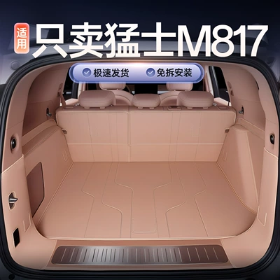 mat, car anti-dirt mat, Trunk Mat