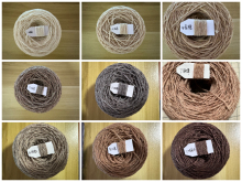 �O���m��ë��2/9֧�͹���ż�h�������Ứ��������