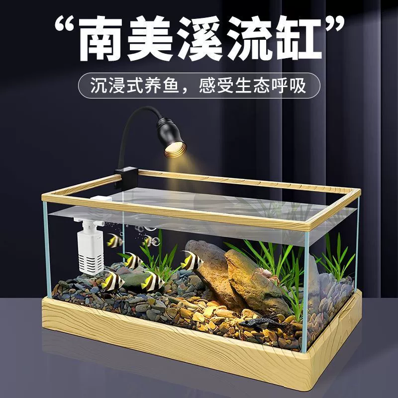 Южноамериканский резервуар ручья Набор природных рыбоводческих экологических резервуаров