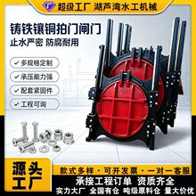 铸铁镶铜圆闸门电动平面水库止水闸门DN600苏标开槽闸门按需定制