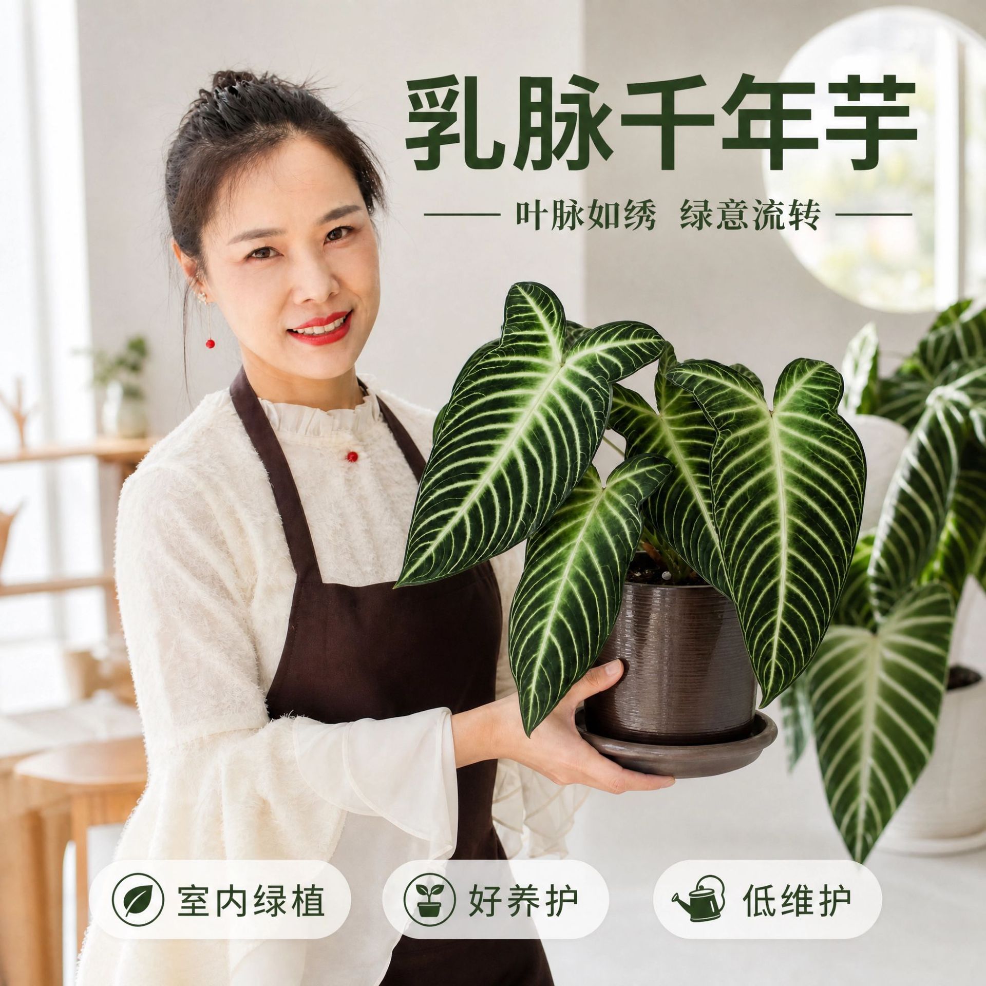 商品图