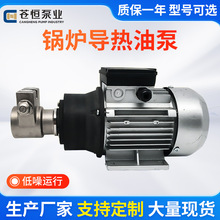 高溫油類輸送設備專用泵不銹鋼油泵循環泵高溫鍋爐導熱油泵高揚程
