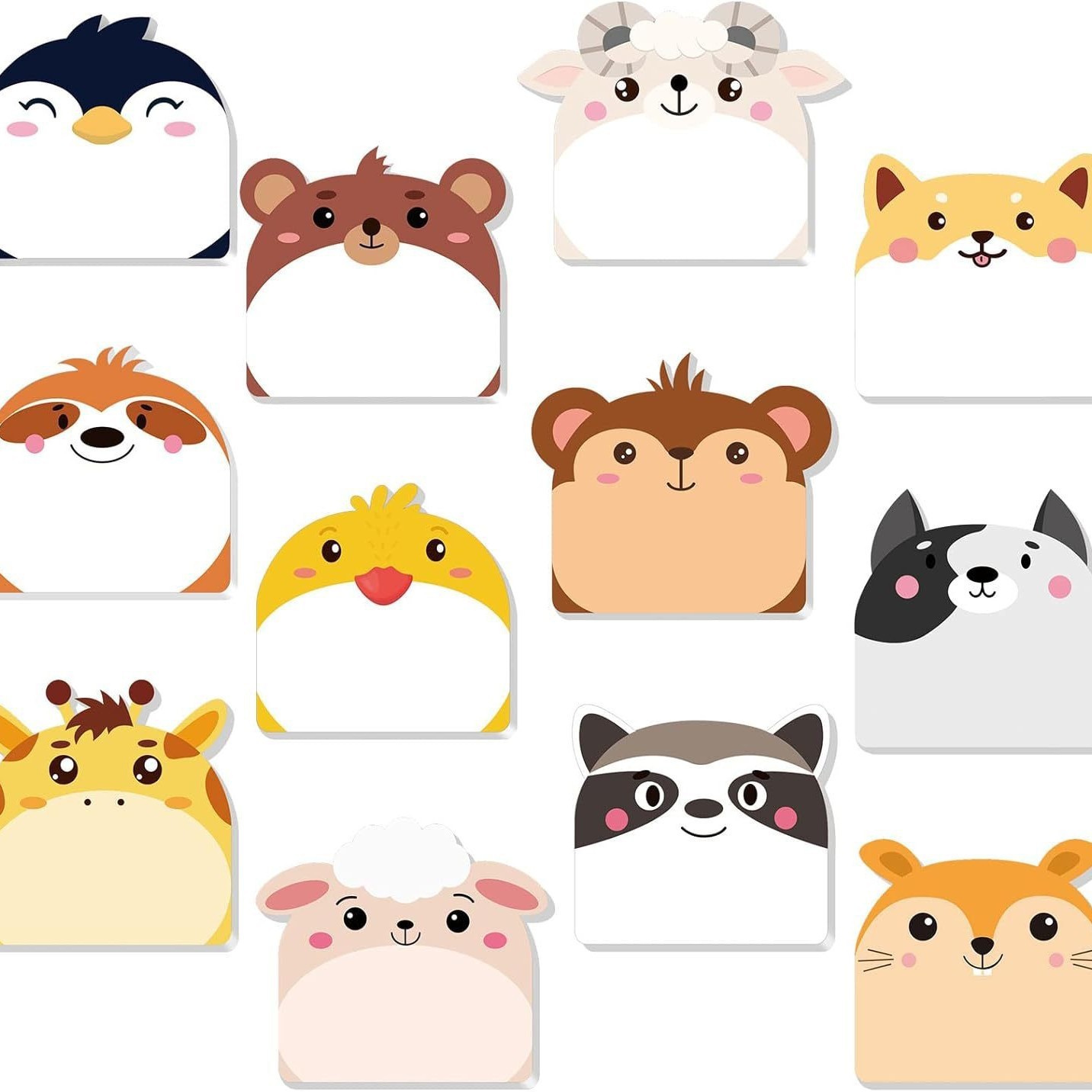 다양한 동물 12권 세트