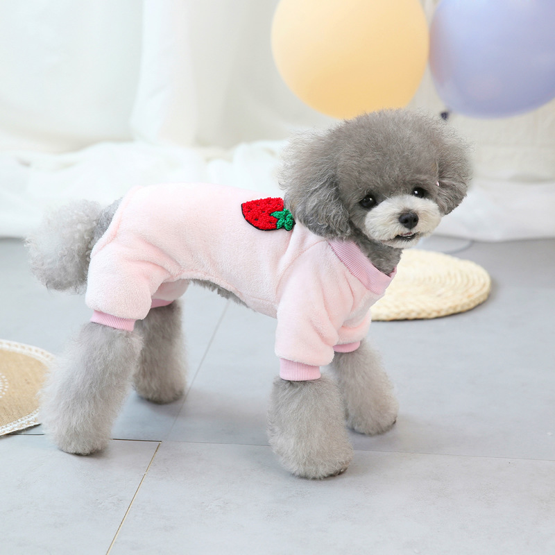 Ropa para perros ropa nueva ropa de terciopelo ropa para mascotas de peluche ropa de terciopelo de cuatro patas Otoño e Invierno 21 fruta ropa de terciopelo de cuatro patas