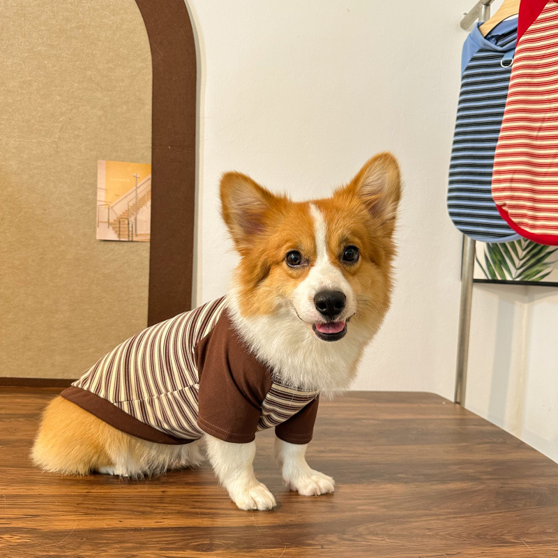Perro de mascota primavera y otoño ropa Corgi perro calentamiento ocio tracción rayas camisetas de cuello redondo