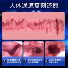 �w�C������ȫ�Ԅ���ο���ɲ����挍��ꎵ�������ʿ����Ʒ���