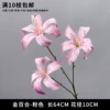 Golden lily