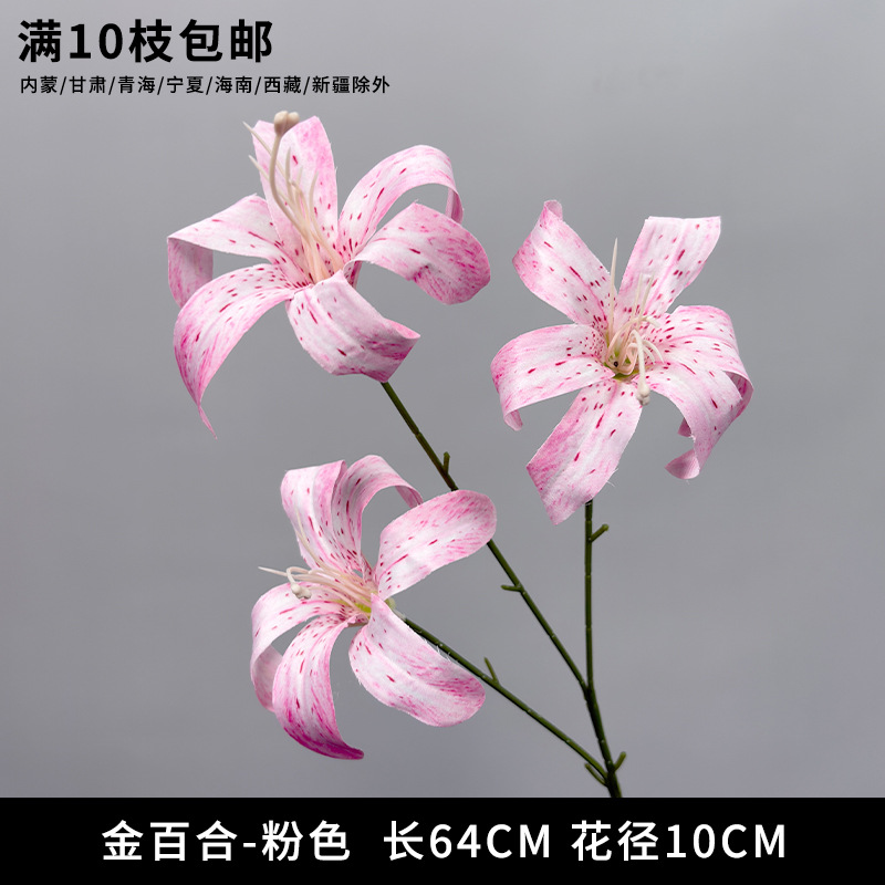 Golden lily "new arrival recommendation"