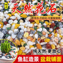 �~���쾰��ɰ��Ȼ��ʯ���⻨�����ʯ���ʯ�껨ʯ�߲�ɫʯ��