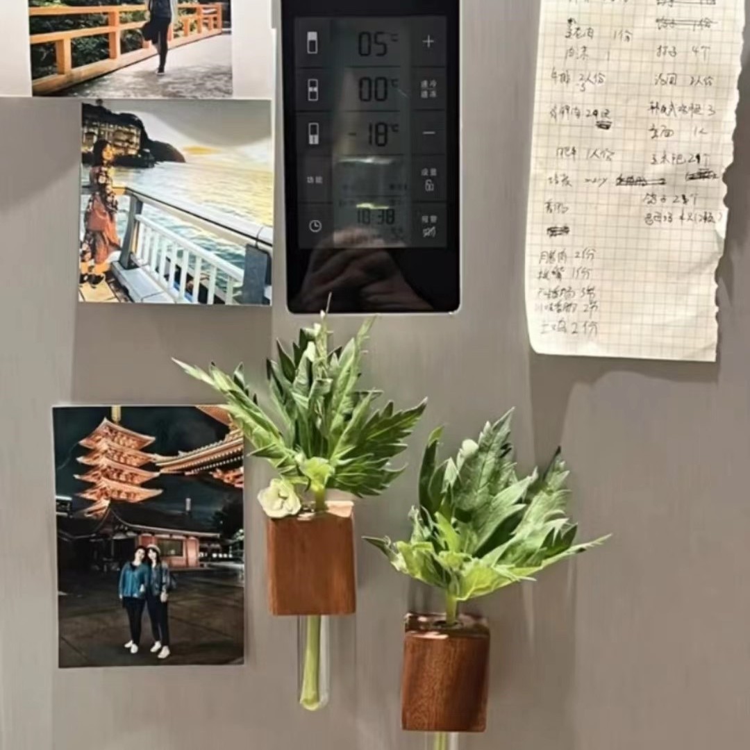 인기 호두 + 유리관 [꽃 제외]