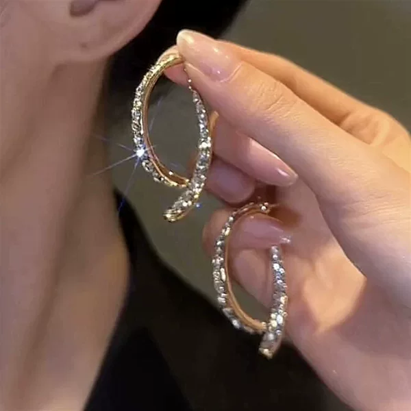 Korean Style Trendy Influencer Cross-Back Earrings for Women, New French Ins Niche Design with a High-End Luxury Feel