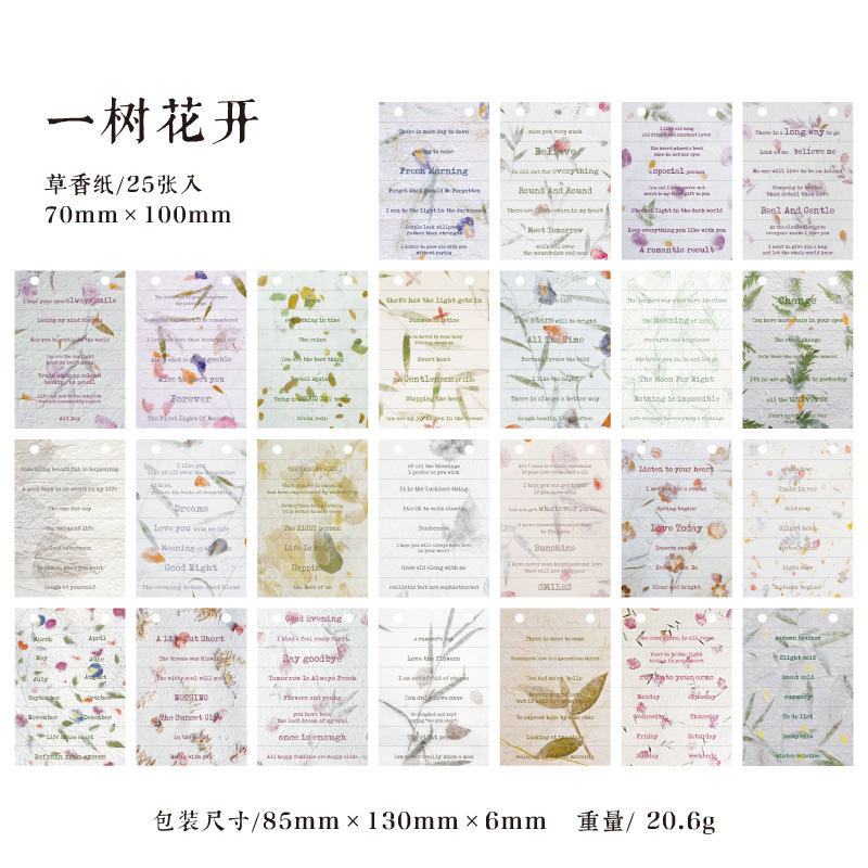 Libro de papel de material de decoración de diario en inglés de Serie 100 piezas Libro de papel transfronterizo Mo material continúa escribiendo humano