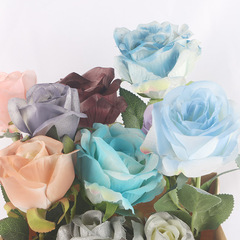 批發碎冰藍炫彩鮮花珠光噴色劑乾花染色噴霧花藝彩噴着色劑染料