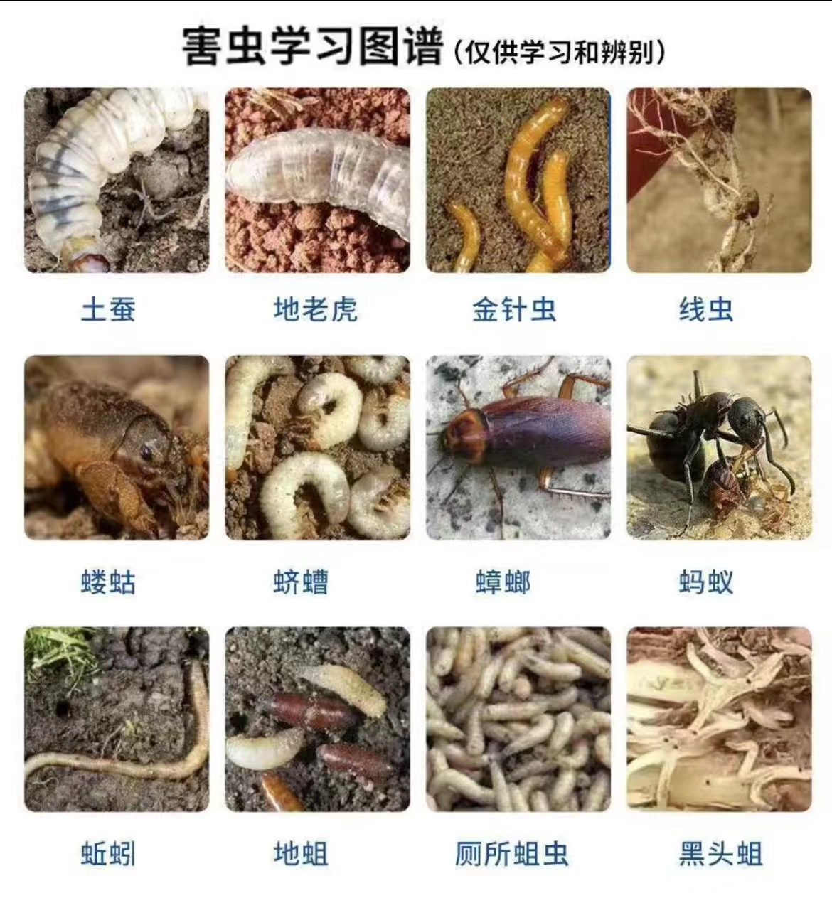 2e9e34ca80453c7641fdeb9ac88217