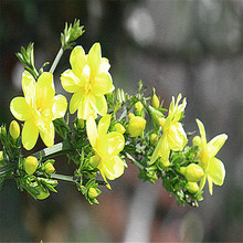 ĴlӭͥԺeGֲԈ@־^G