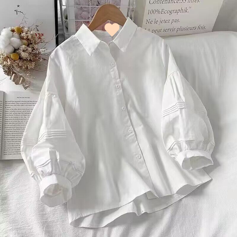 Spring and Autumn Women's Clothing 2025 New Puff Sleeve Shirt Women's Winter Design Niche Early Autumn Shirt Small Top