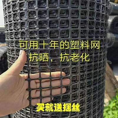 养鸡养鸭塑料养殖网围栏网防护隔离网玉米网栅栏网果园圈地防护网
