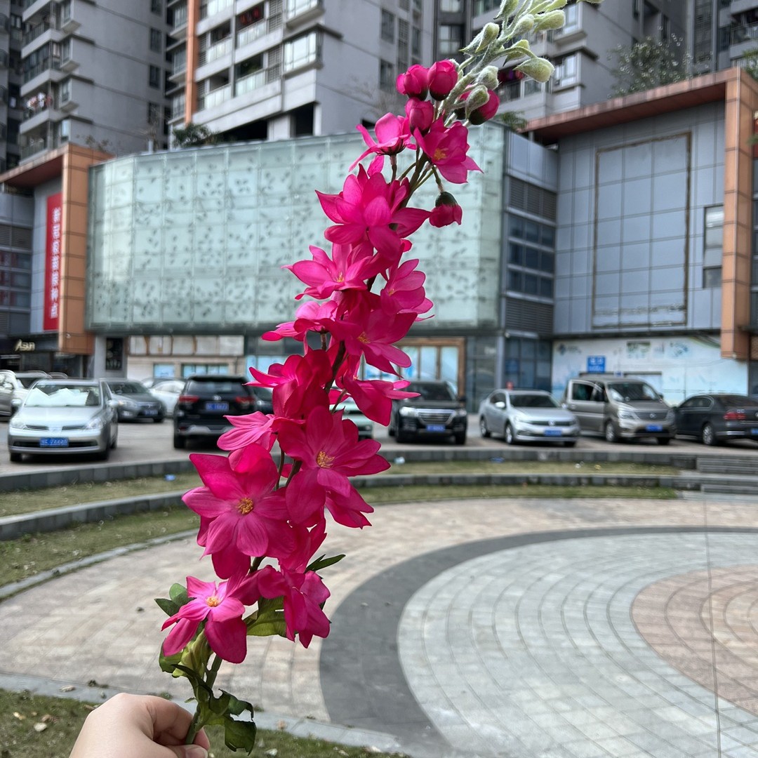 Una sola rama laifei gran golondrina Rosa Roja