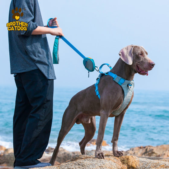 Amazon large dog chest back explosion-proof chest back large dog explosion-proof chest strap traction rope bag set