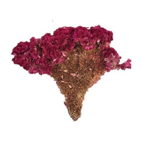 Dried Cockscomb Flower Ji Guan Hua Celosia Cristata Cut Herbal Tea Ingredient 1000g quality and texture
