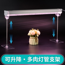T8T20植物灯管立式支架多肉生长补光灯可升降亚克力灯架