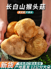 �L��ɽ���^����؛ɽ�ﹽ�^Ұ��500g��؛��ۖ|�������Ҝ�ʳ��Ģ��